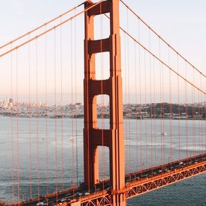 Meet your Posher, Bailey